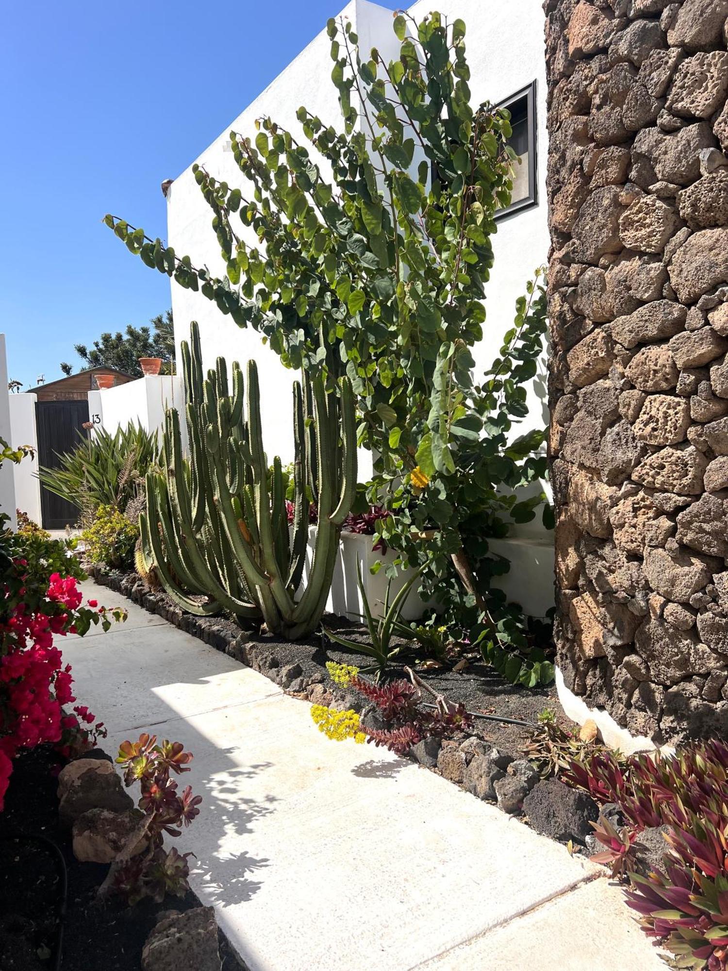 Villa Oasis En Lanzarote Costa Teguise Esterno foto