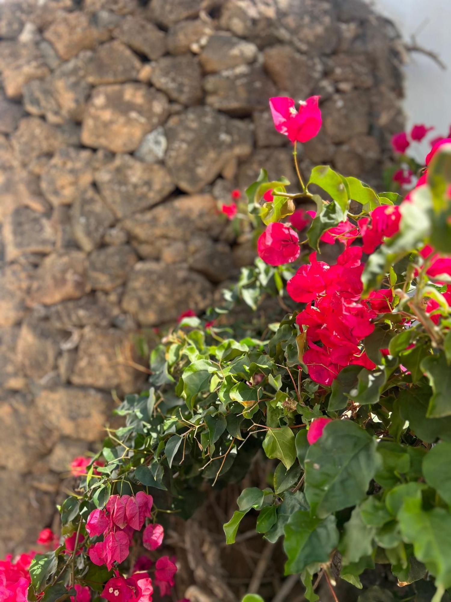 Villa Oasis En Lanzarote Costa Teguise Esterno foto